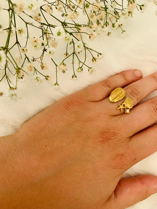 Ring ‘beach day’