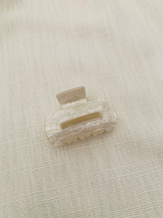 Haarklem 'white spark'