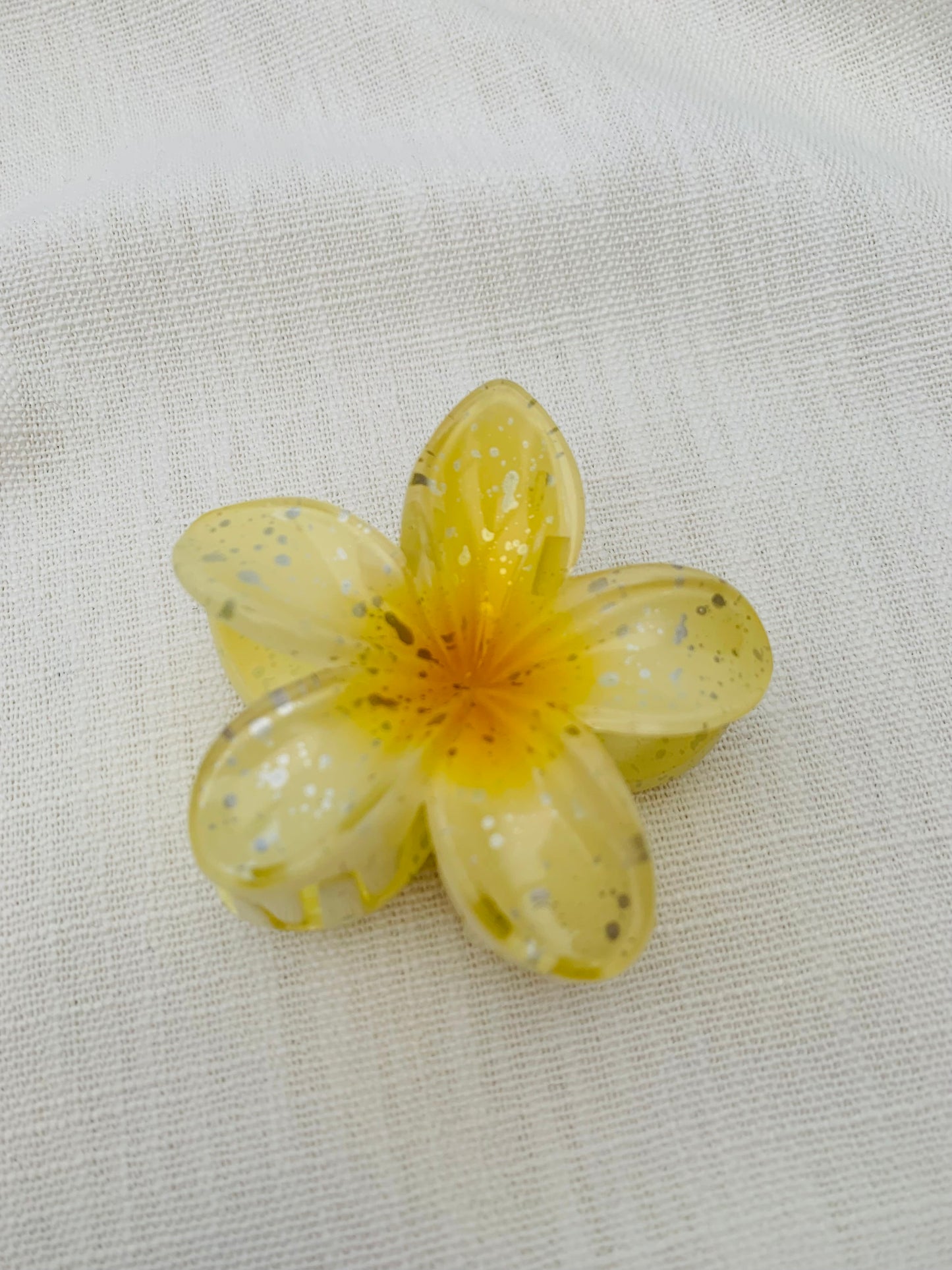 Haarklem 'yellow spark flower'