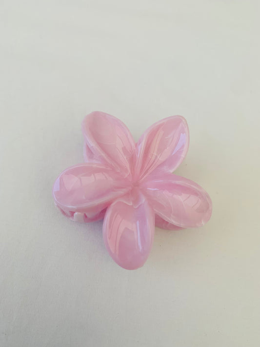 Haarklem ‘pink bloom’