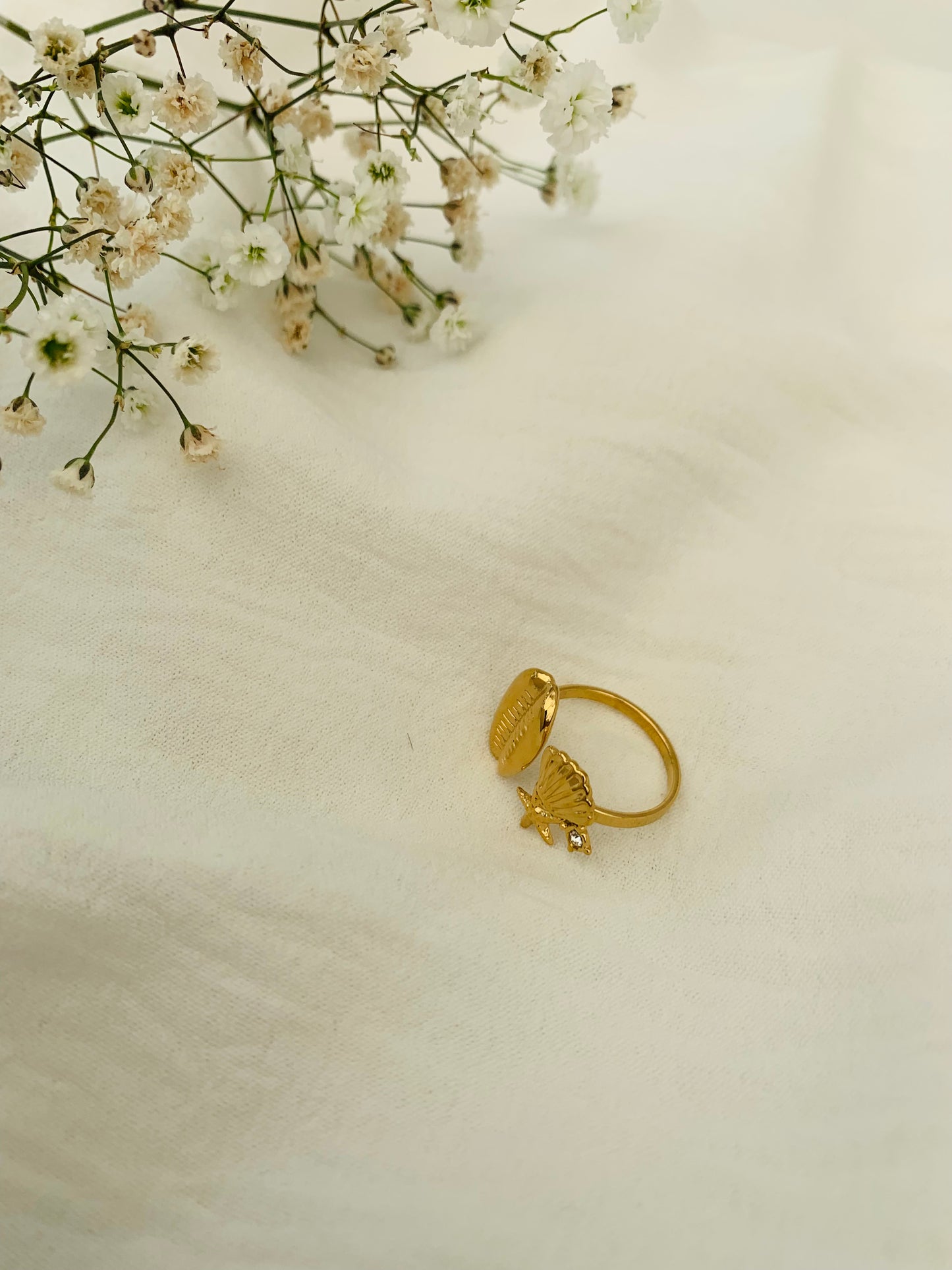 Ring ‘beach day’