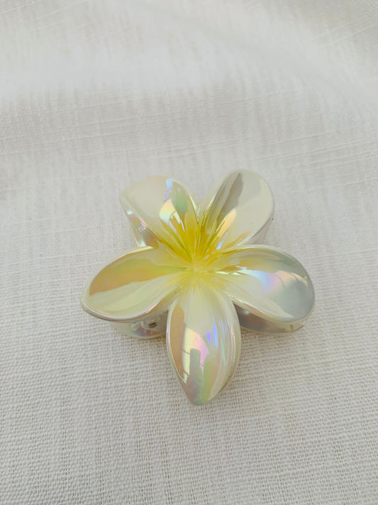 Haarklem 'yellow flower'