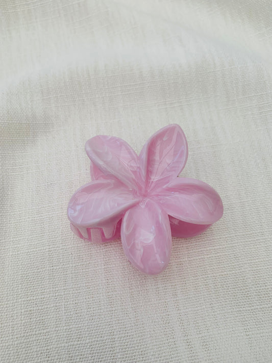 Haarklem 'pink flower'