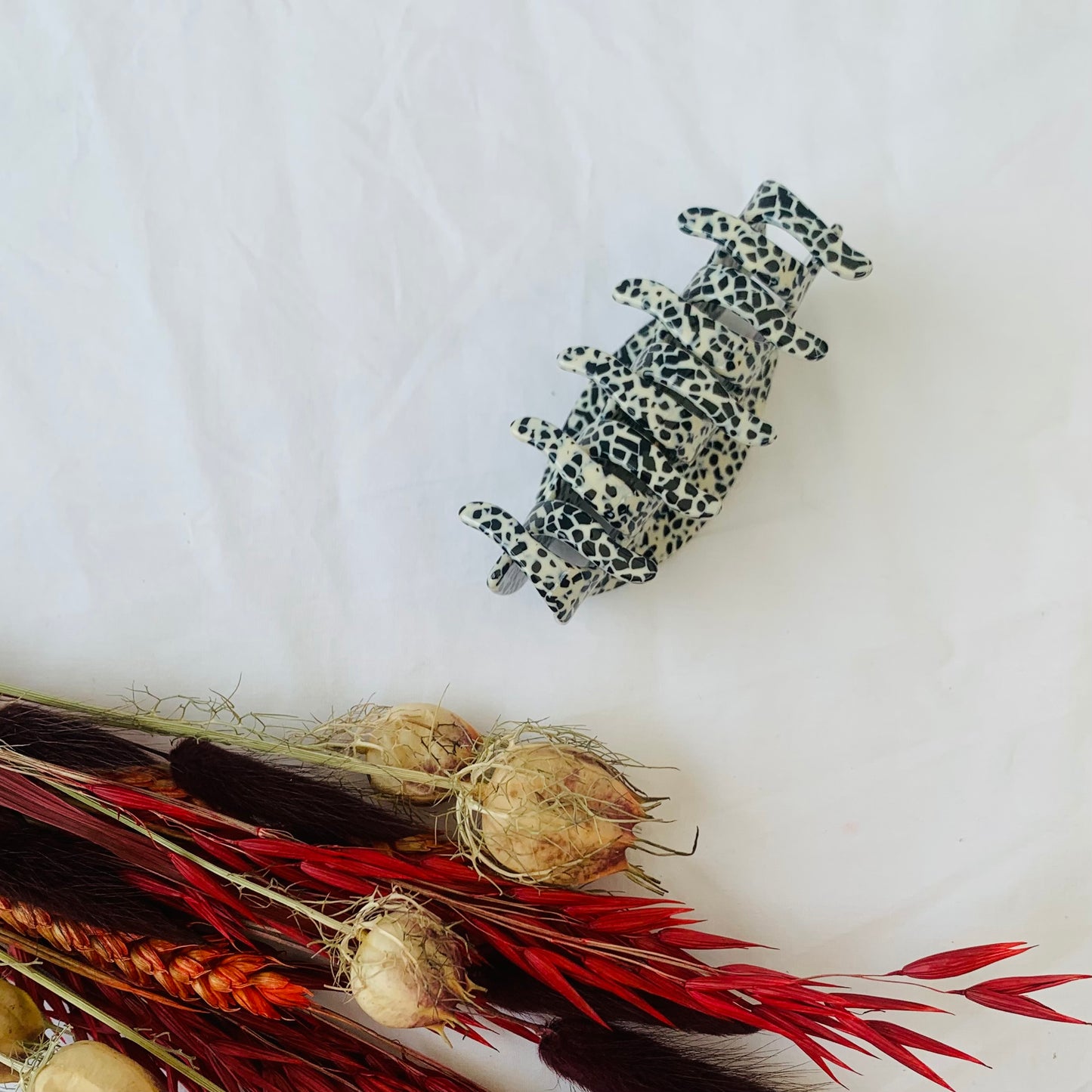 Haarklem ‘dalmation fever'