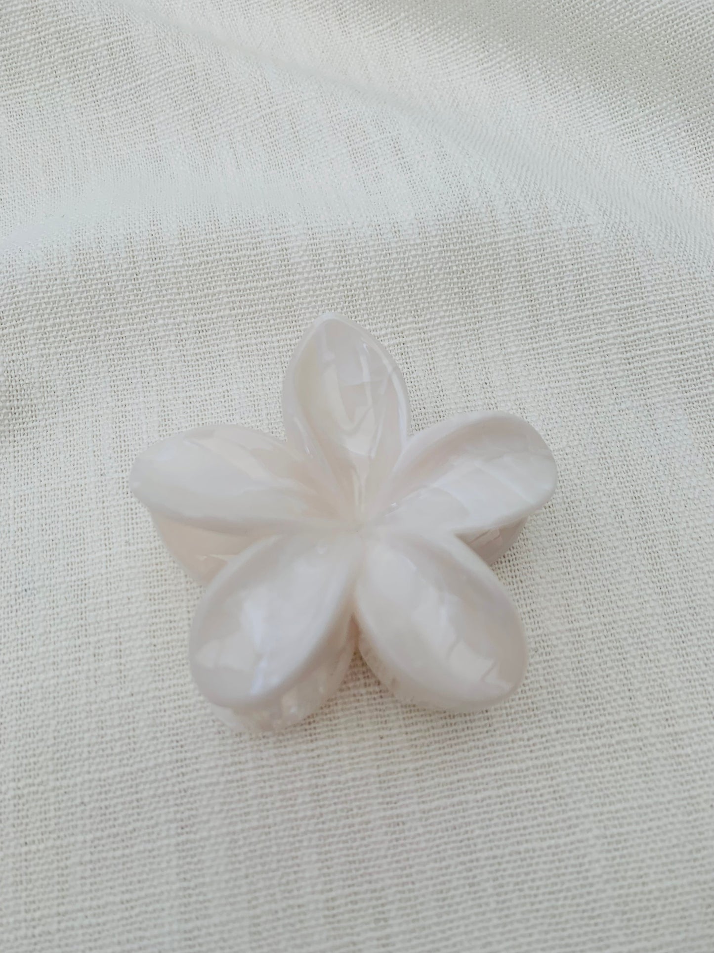 Haarklem 'white flower'