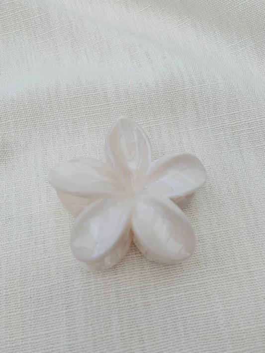 Haarklem 'white flower'