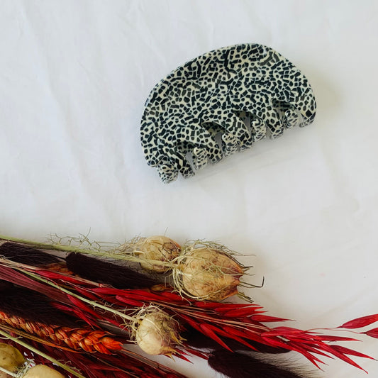 Haarklem ‘dalmation fever'