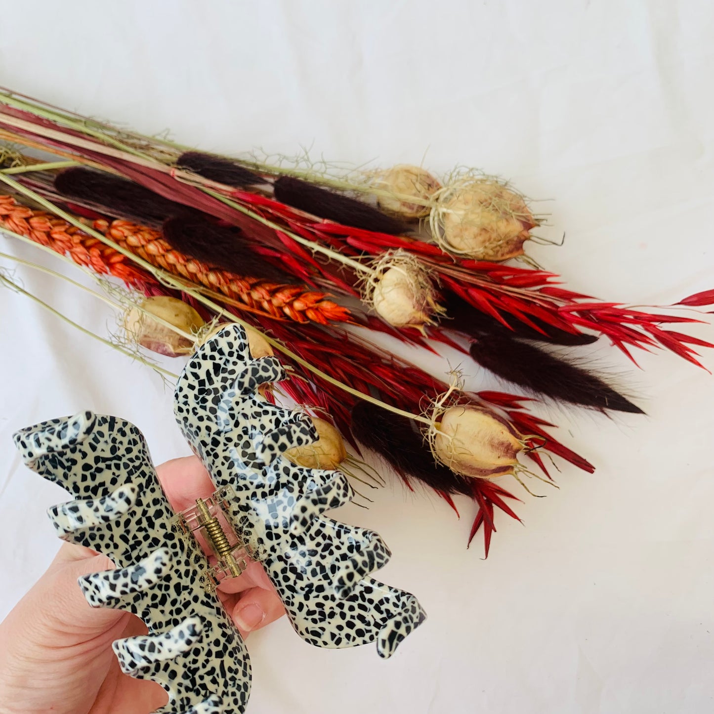 Haarklem ‘dalmation fever'