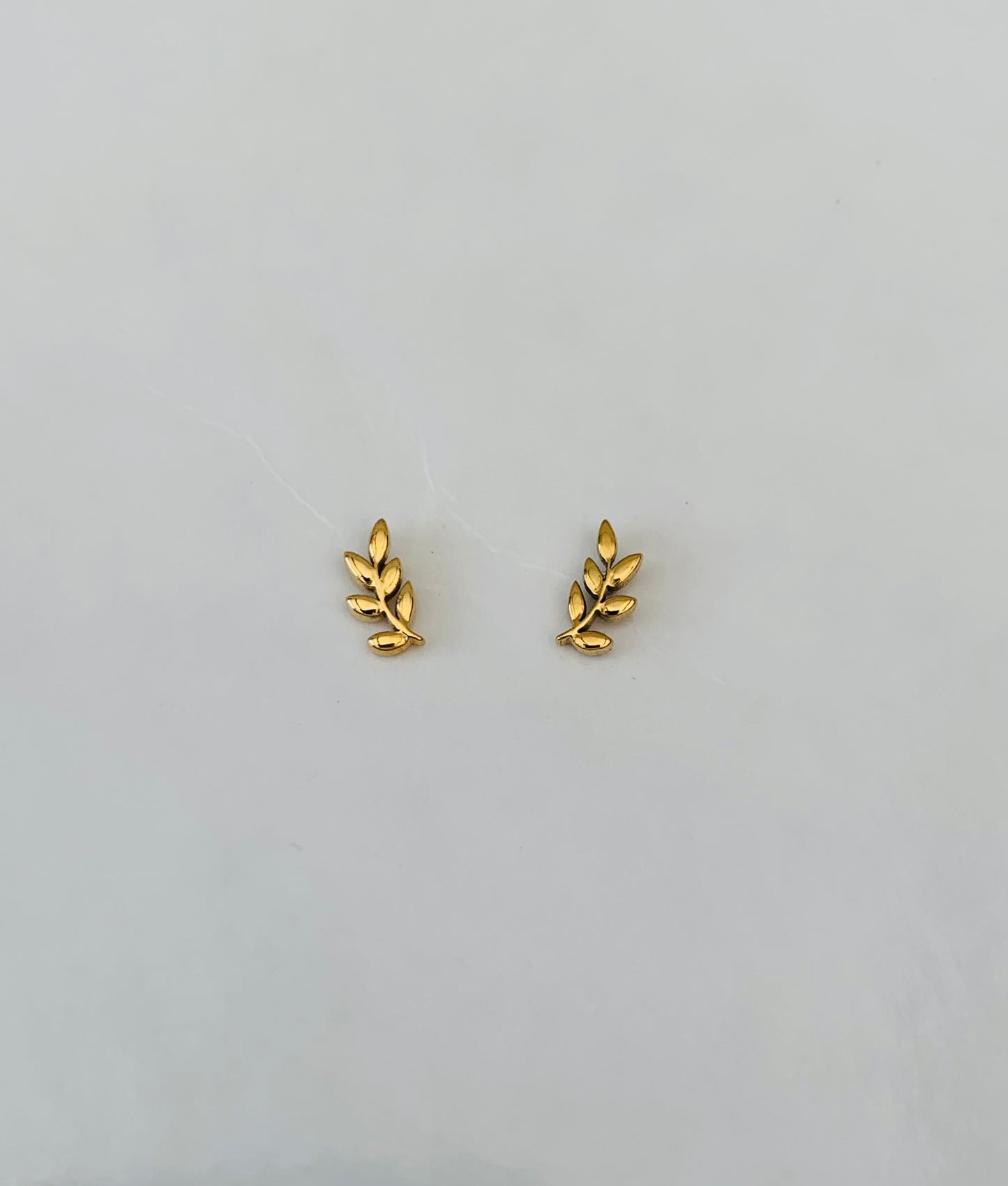 Oorbellen 'simple leaf'